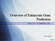 Overview of Eukaryotic Gene Prediction
