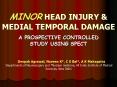 MINOR HEAD INJURY PowerPoint PPT Presentation