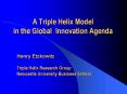 A Triple Helix Model in the Global Innovation Agenda PowerPoint PPT Presentation