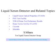 Liquid Xenon Detector and Related Topics