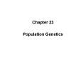 Population Genetics PowerPoint PPT Presentation
