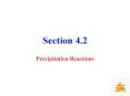 Precipitation Reactions PowerPoint PPT Presentation