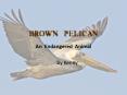 BROWN PELICAN PowerPoint PPT Presentation