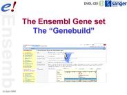 The Ensembl Gene set The 