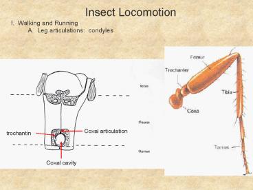 Selling an Idea or a Product