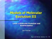 Models of Molecular Evolution III