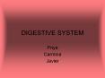 DIGESTIVE SYSTEM PowerPoint PPT Presentation