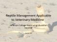 Reptile Management Applicable to Veterinary Medicine PowerPoint PPT Presentation