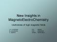 New Insights in MagnetoElectroChemistry PowerPoint PPT Presentation