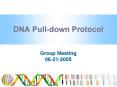 DNA Pull-down Protocol PowerPoint PPT Presentation
