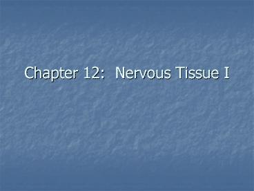 Chapter 12: Nervous Tissue I