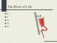 The River of Life PowerPoint PPT Presentation