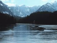 Aims of this presentation