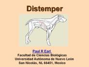 Distemper
