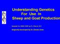 Master Goat Producer PowerPoint PPT Presentation