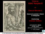 T'G'A'U' CBAC Manyleb B ac Edexcel Manyleb C