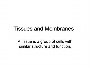 Tissues and Membranes