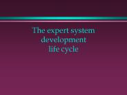 The expert system development life cycle