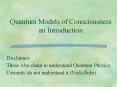 Quantum Models of Consciousness an Introduction PowerPoint PPT Presentation