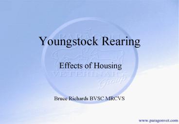 Youngstock Rearing Effects of Housing