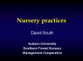 Nursery practices PowerPoint PPT Presentation