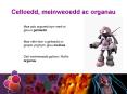 Celloedd, meinweoedd ac organau PowerPoint PPT Presentation