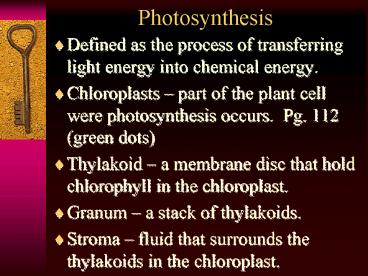 Photosynthesis
