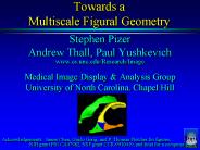 Towards a Multiscale Figural Geometry