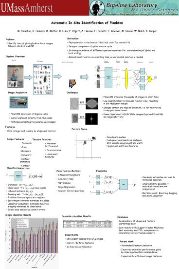 Automatic In Situ Identification of Plankton