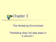 The Marketing Environment PowerPoint PPT Presentation