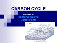 CARBON CYCLE