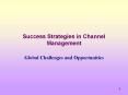 Success Strategies in Channel Management PowerPoint PPT Presentation