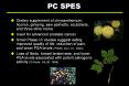 PC%20SPES PowerPoint PPT Presentation
