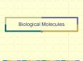 Biological Molecules PowerPoint PPT Presentation