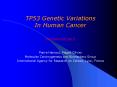 TP53 Genetic Variations In Human Cancer PowerPoint PPT Presentation