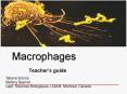 Macrophages PowerPoint PPT Presentation