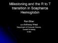 Milestoning and the R to T transition in Scapharca Hemoglobin PowerPoint PPT Presentation