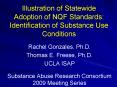 Illustration of Statewide Adoption of NQF Standards: Identification of Substance Use Conditions PowerPoint PPT Presentation