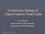 Evolutionary Biology of Tospoviruses in Floral Crops