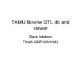 TAMU Bovine QTL db and viewer PowerPoint PPT Presentation