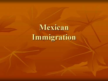 Mexican Immigration