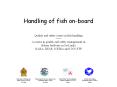 Handling of fish on-board PowerPoint PPT Presentation
