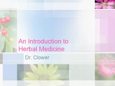 An Introduction to Herbal Medicine