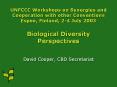 UNFCCC Workshops on Synergies and Cooperation with other Conventions Espoo, Finland, 24 July 2003 Bi PowerPoint PPT Presentation