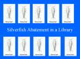 Silverfish Abatement in a Library PowerPoint PPT Presentation