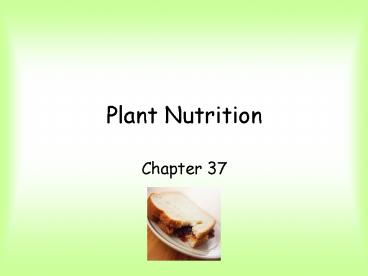 Plant Nutrition