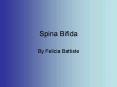 Spina Bifida PowerPoint PPT Presentation