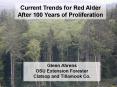 Current Trends for Red Alder After 100 Years of Proliferation PowerPoint PPT Presentation