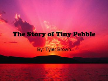 The Story of Tiny Pebble