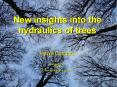 New insights into the hydraulics of trees PowerPoint PPT Presentation
